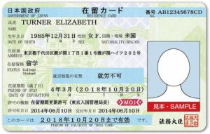 在留資格「特定技能」(特定技能ビザ)とは?外国人材受け入れ企業への影響まとめ